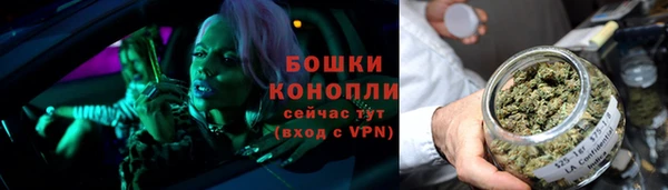 бутират Гусев