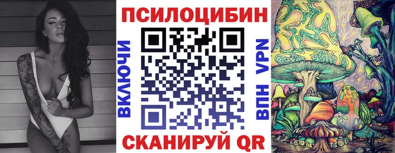 Галлюциногенные грибы мицелий  Кущёвская 